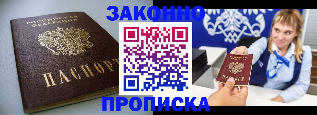 прописка поиск в Бердске